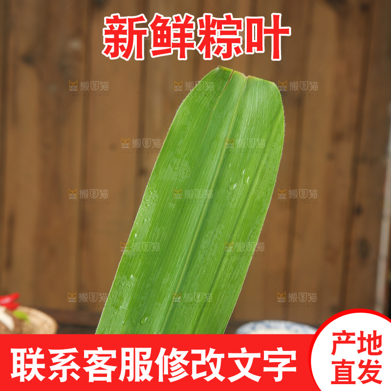 深底上的新鲜粽叶