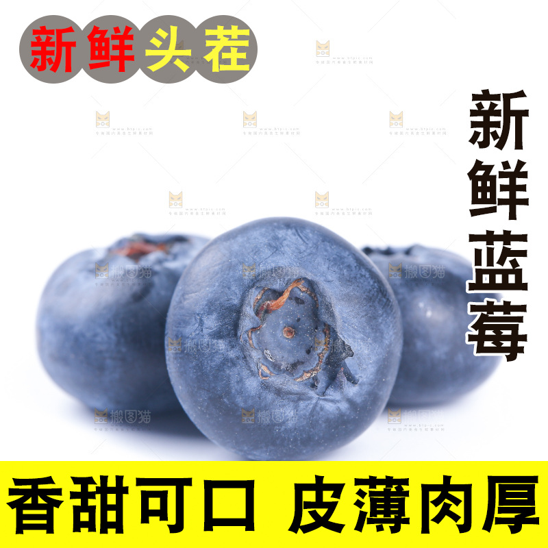 白底上的怡颗莓