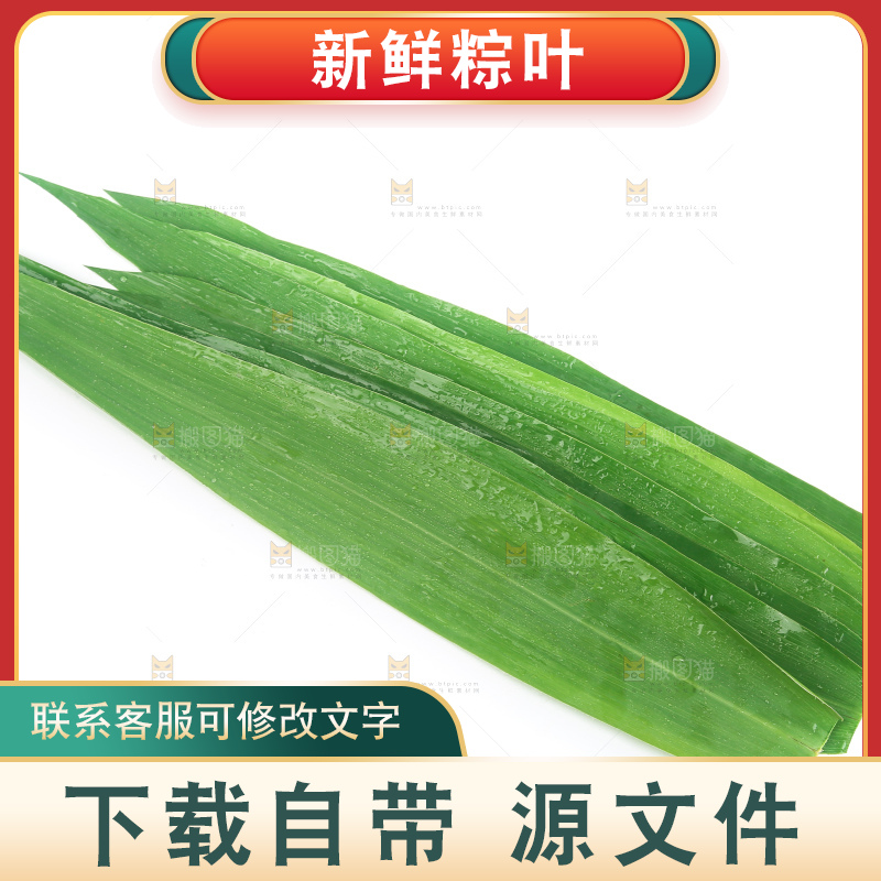 白底上的新鲜粽叶