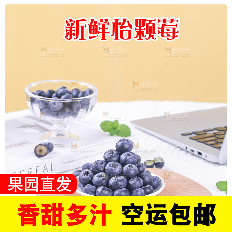 浅底上的怡颗莓