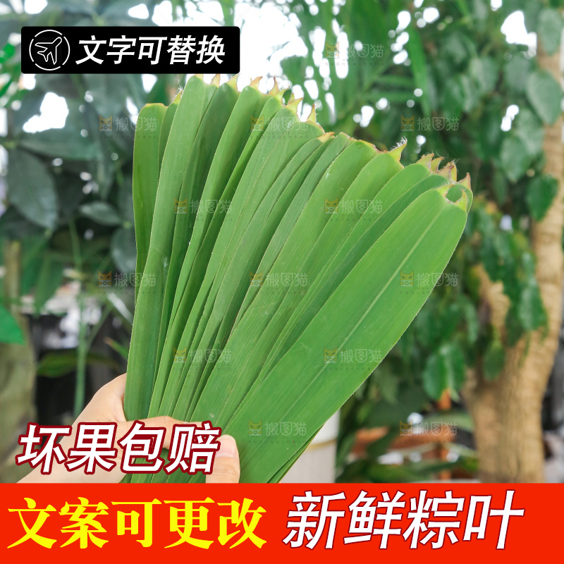 深底上的新鲜粽叶