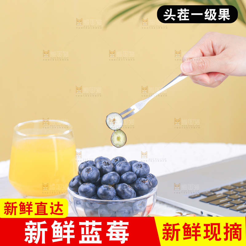 浅底上的怡颗莓