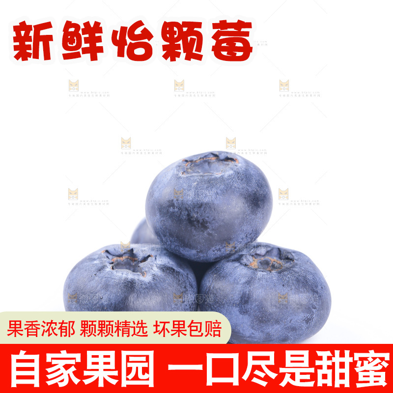 白底上的怡颗莓