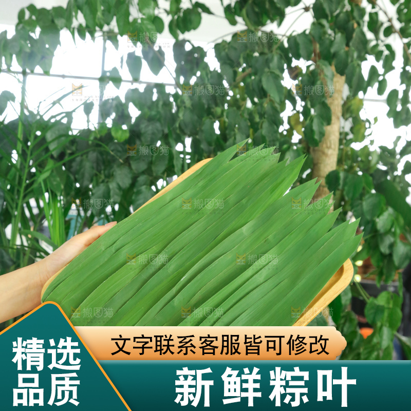 深底上的新鲜粽叶