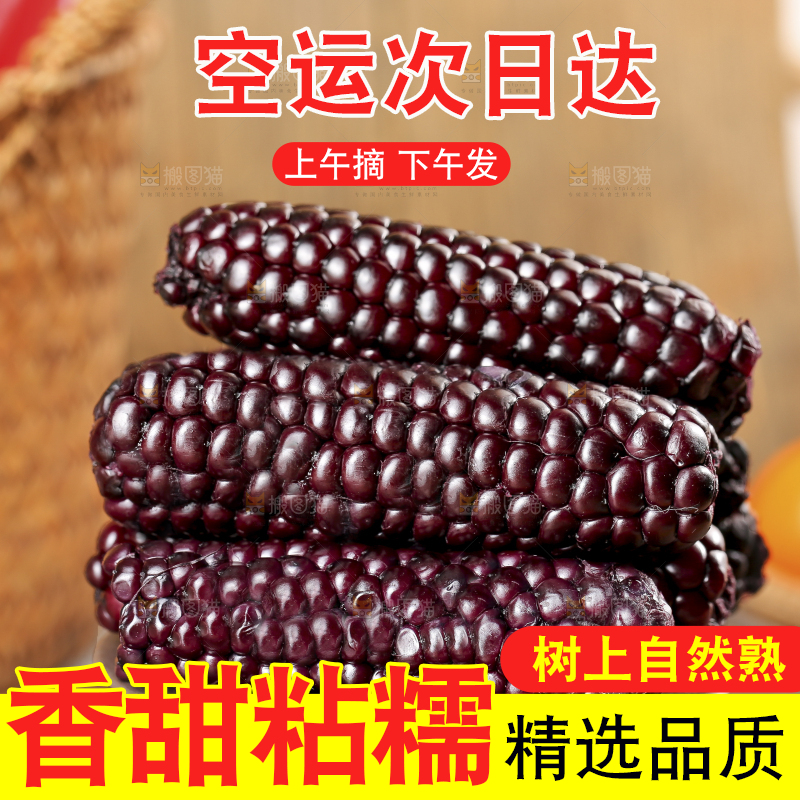 木底上的黑糯拇指玉米