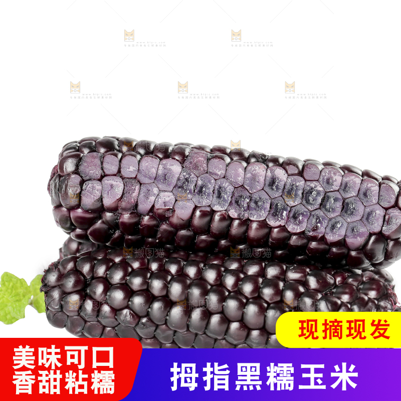 白底上的黑糯拇指玉米