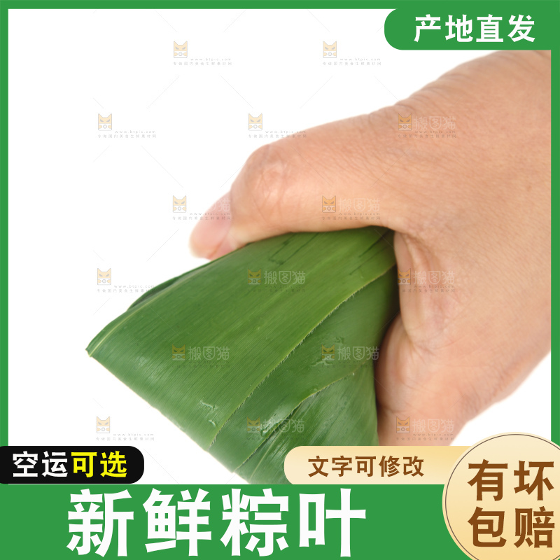 白底上的新鲜粽叶