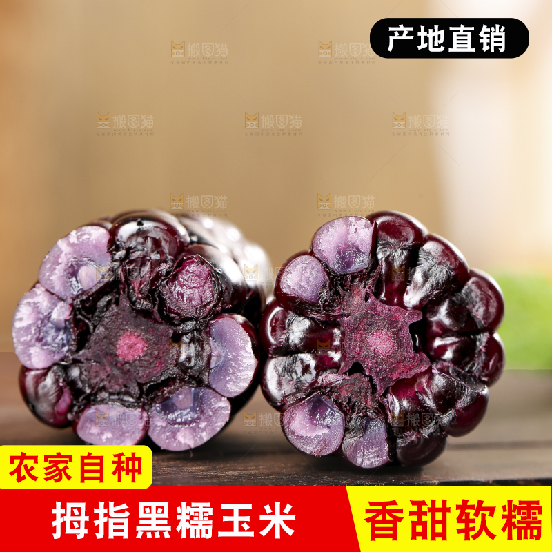 木底上的黑糯拇指玉米