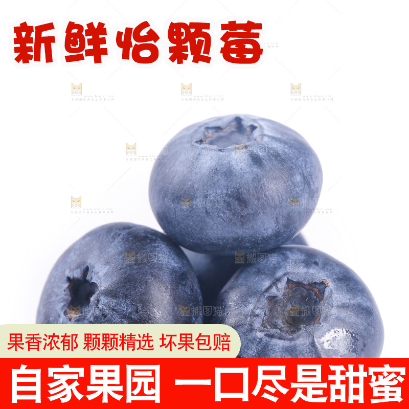 白底上的怡颗莓