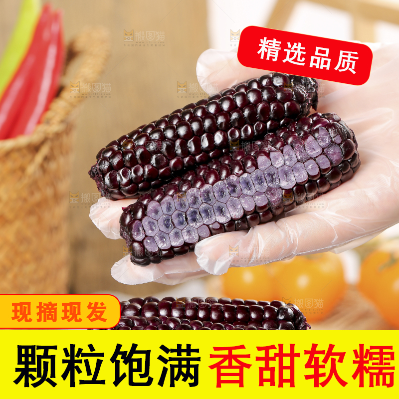 木底上的黑糯拇指玉米