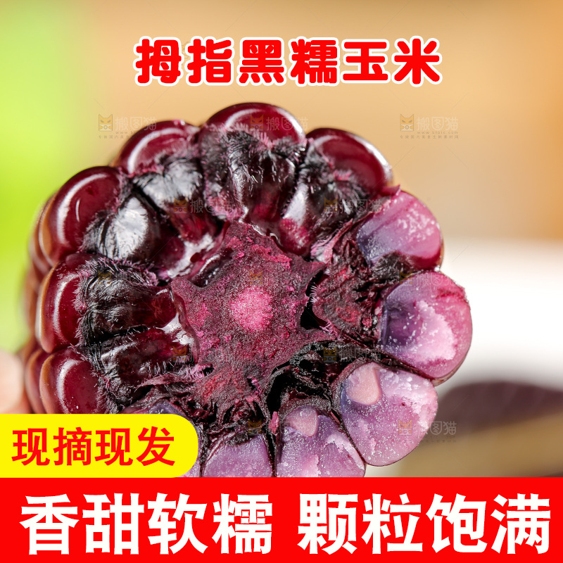 木底上的黑糯拇指玉米