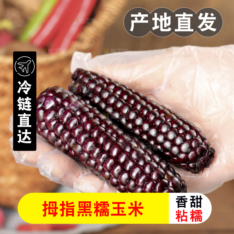 木底上的黑糯拇指玉米