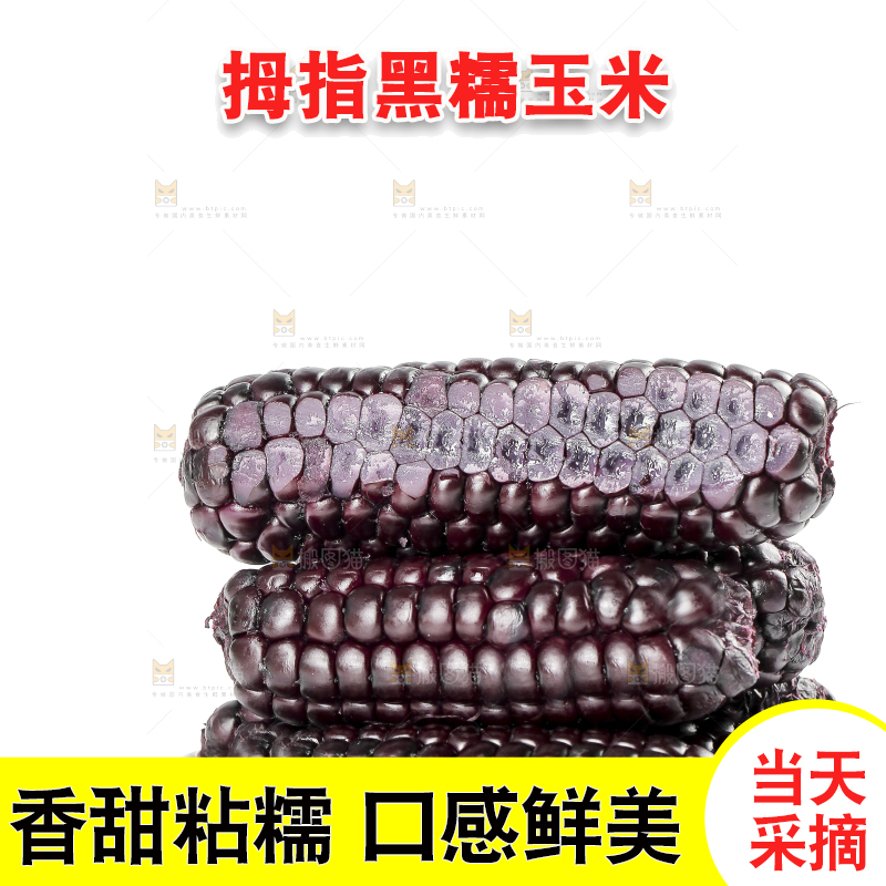 白底上的黑糯拇指玉米