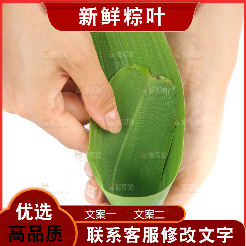 白底上的新鲜粽叶