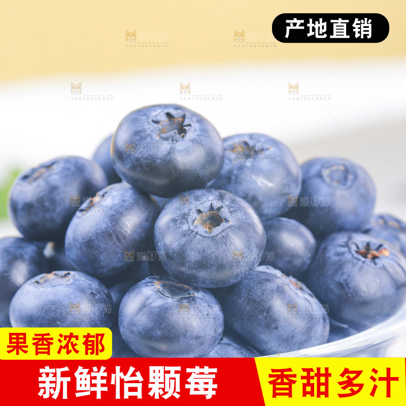 浅底上的怡颗莓