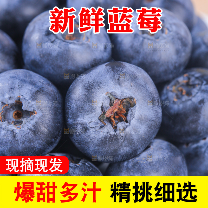 浅底上的怡颗莓