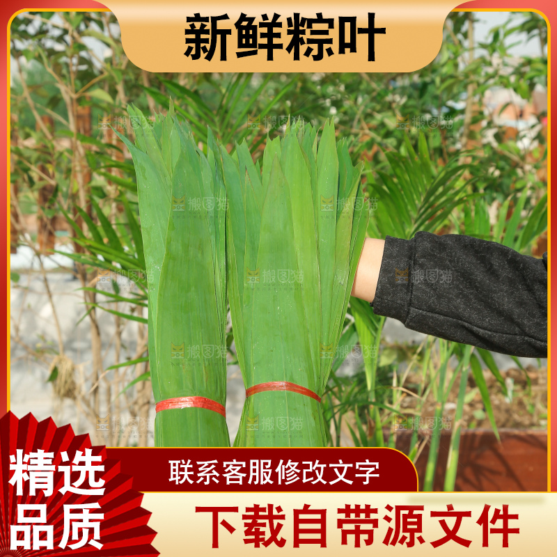 深底上的新鲜粽叶