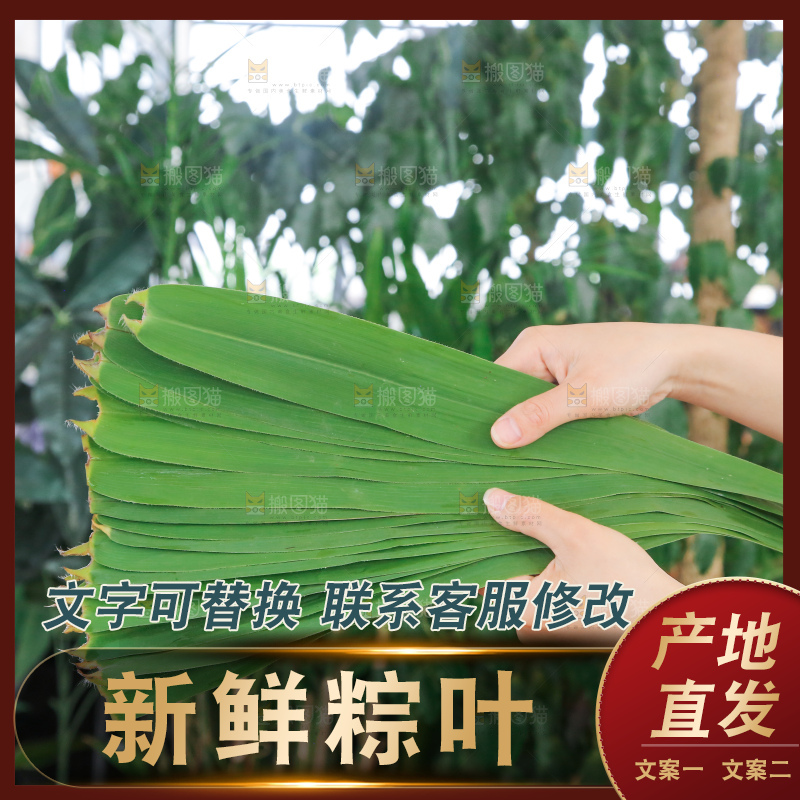 深底上的新鲜粽叶