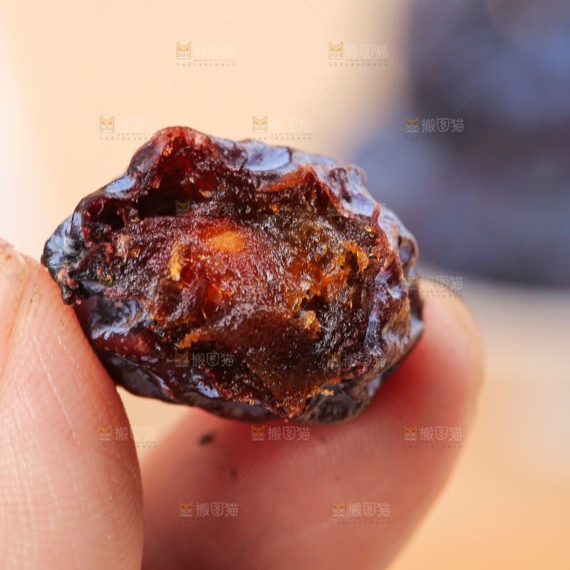 浅底上的新疆乌梅