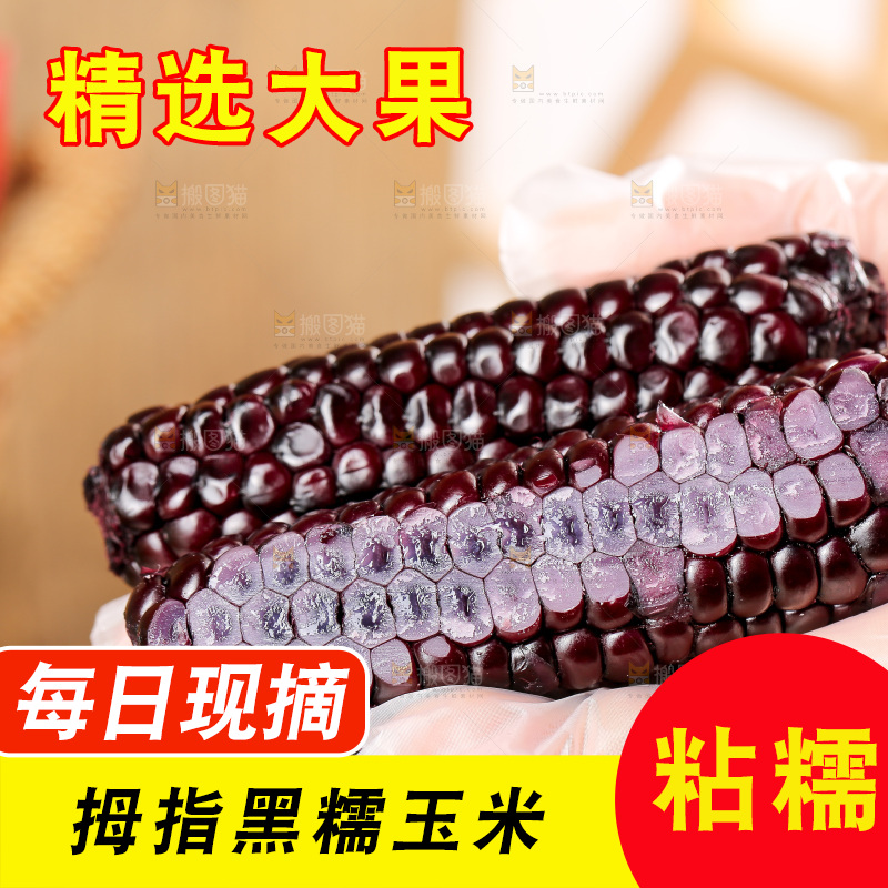 木底上的黑糯拇指玉米