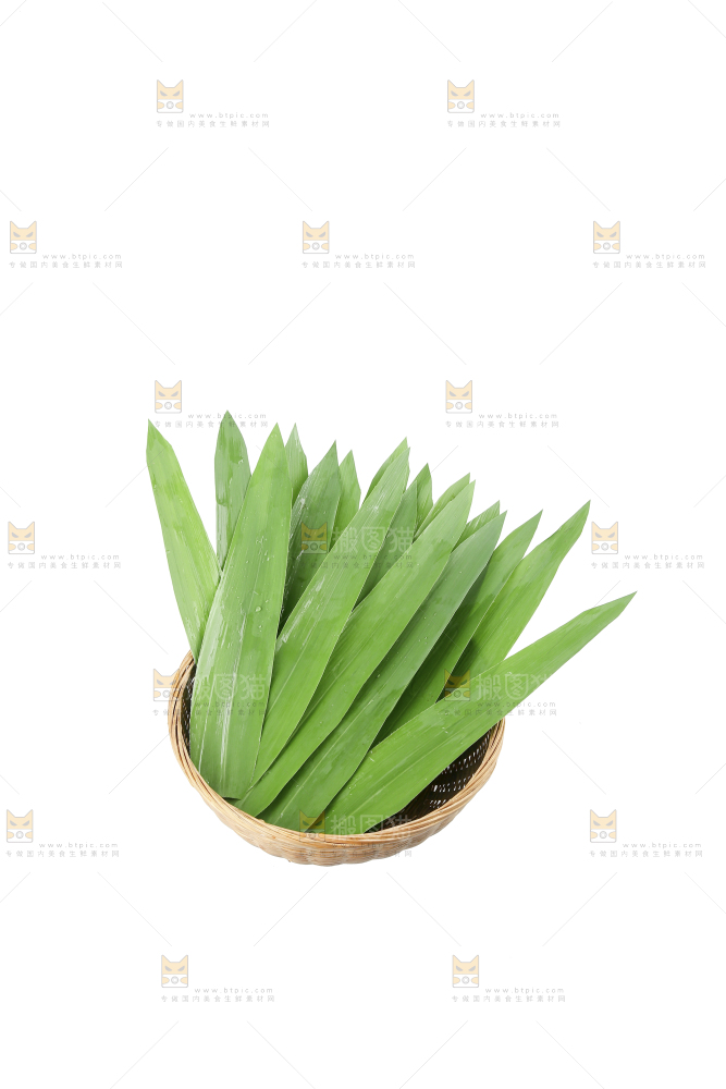 白底上的粽叶