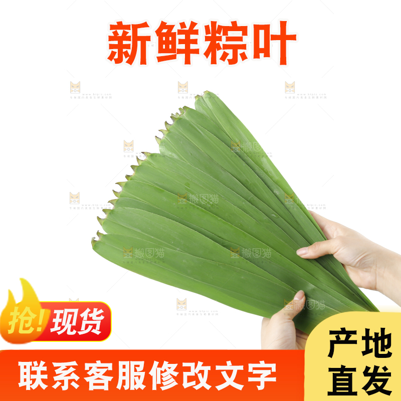 白底上的粽叶
