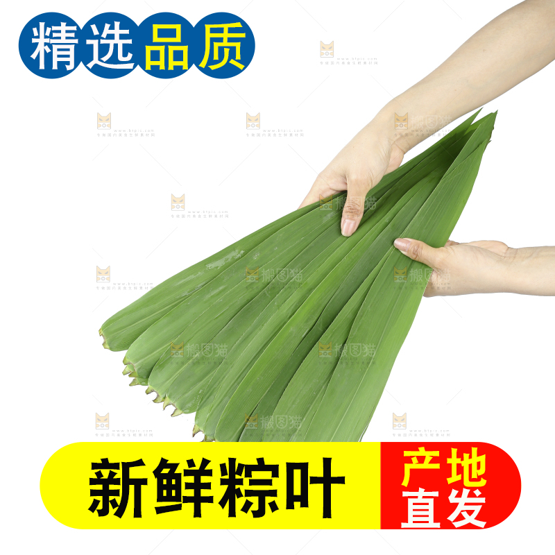 白底上的粽叶