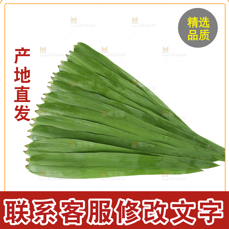 白底上的粽叶
