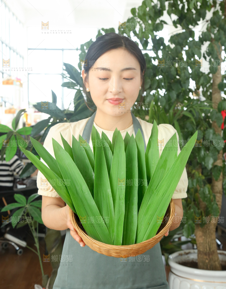 手里拿着新鲜粽叶