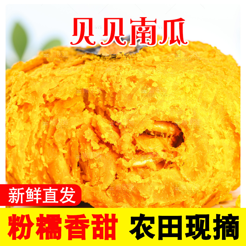 贝贝南瓜
