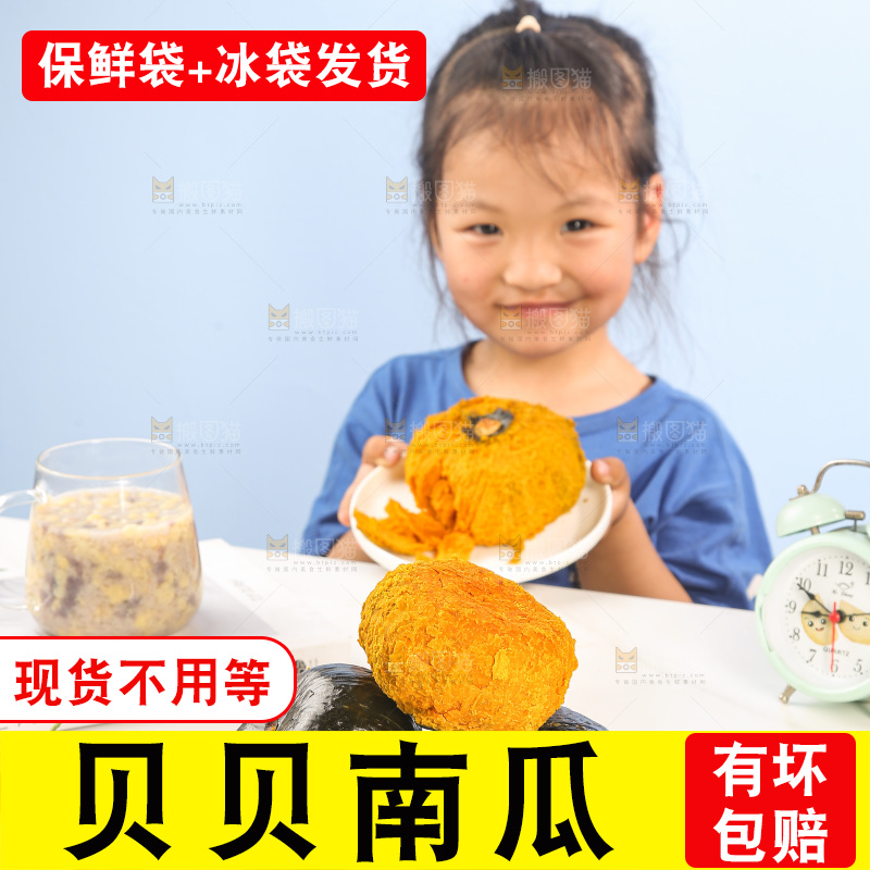 浅底上的贝贝南瓜