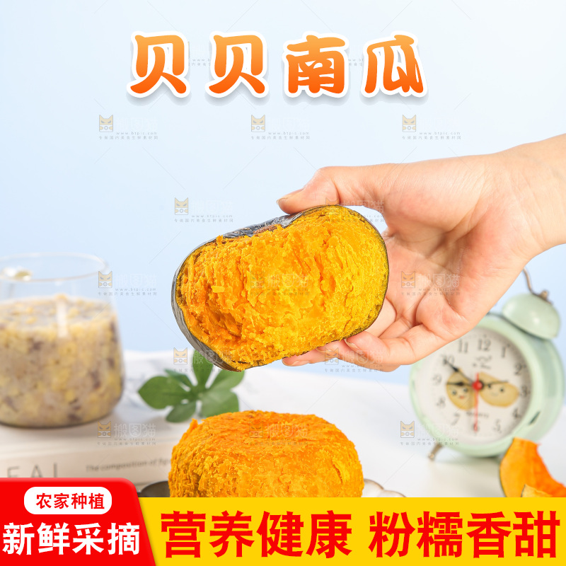 浅底上的贝贝南瓜