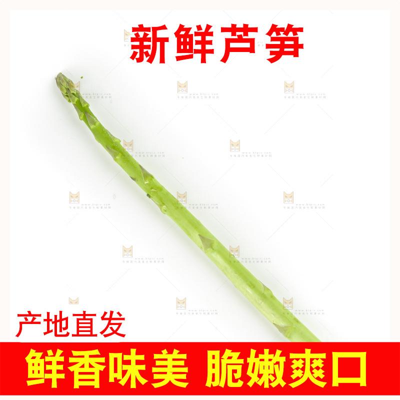 白底上的新鲜芦笋