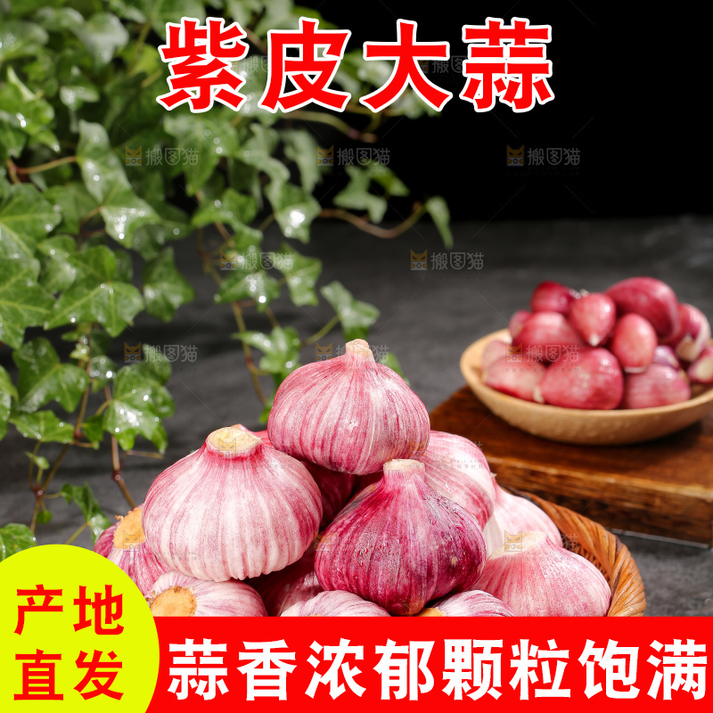 深底上的紫皮大蒜