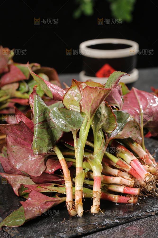 深底上的鱼腥草叶