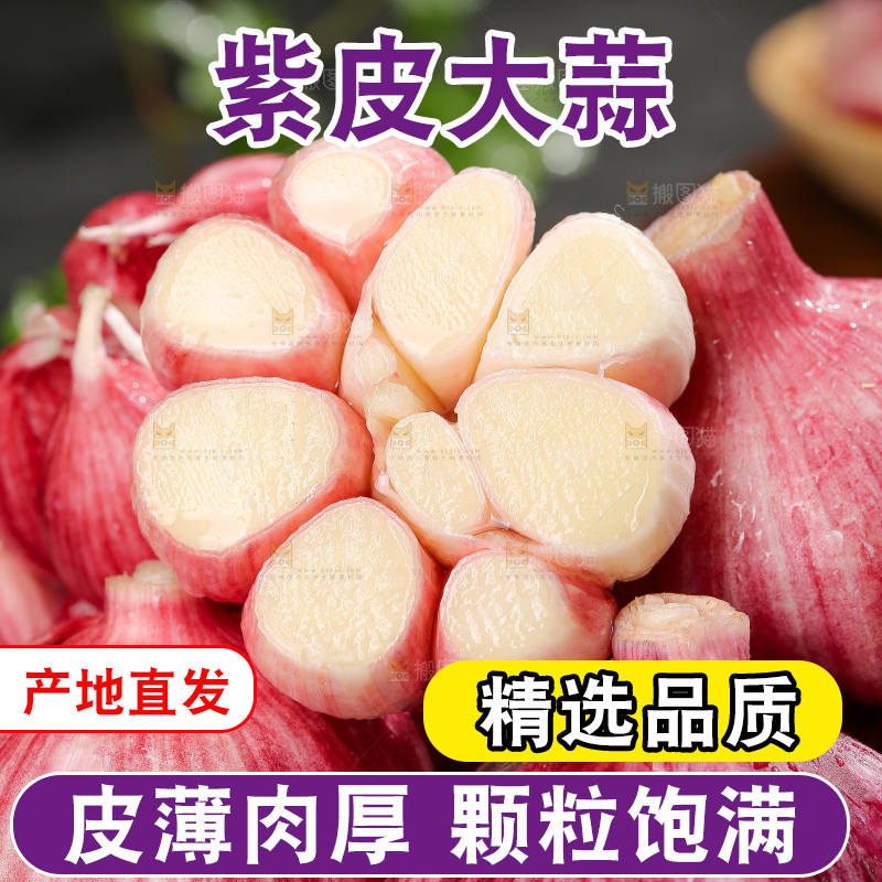 深底上的紫皮大蒜