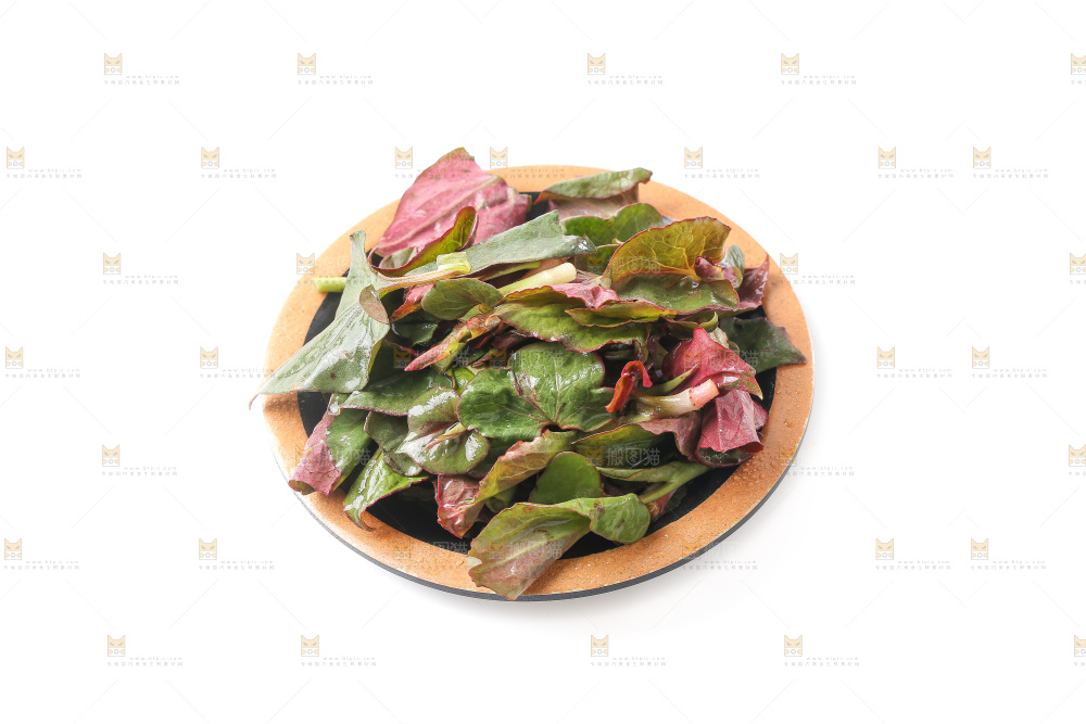 白底上的鱼腥草叶