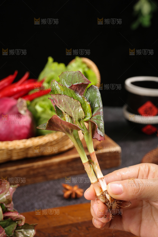深底上的鱼腥草叶