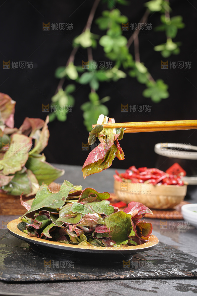 深底上的鱼腥草叶