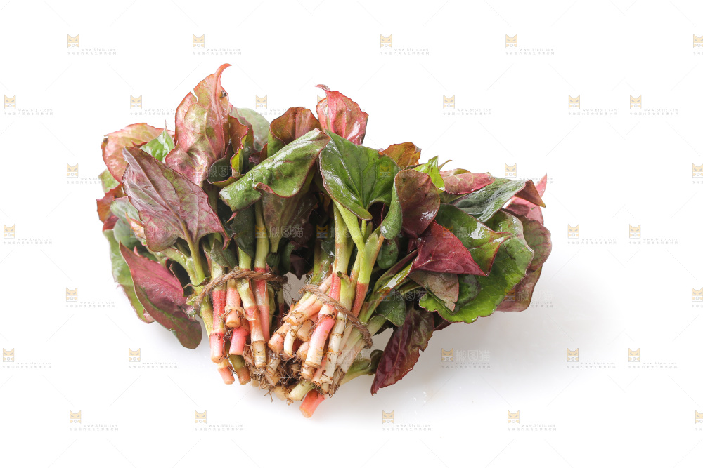 白底上的鱼腥草叶