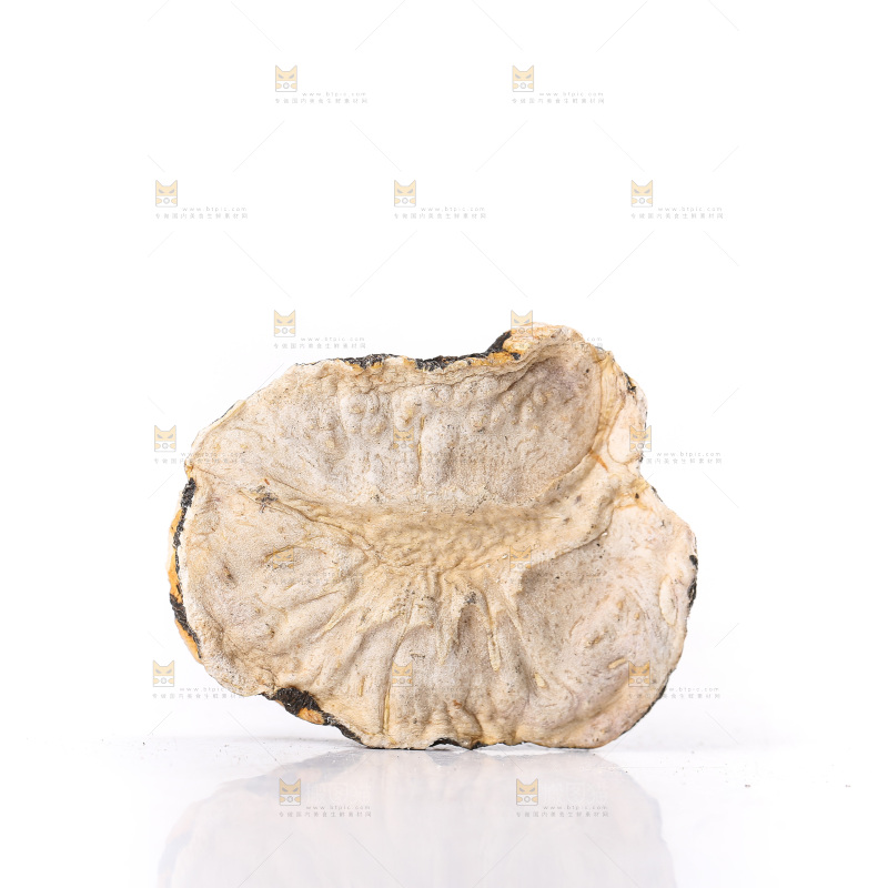 白底上的玛卡