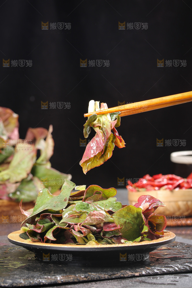 深底上的鱼腥草叶