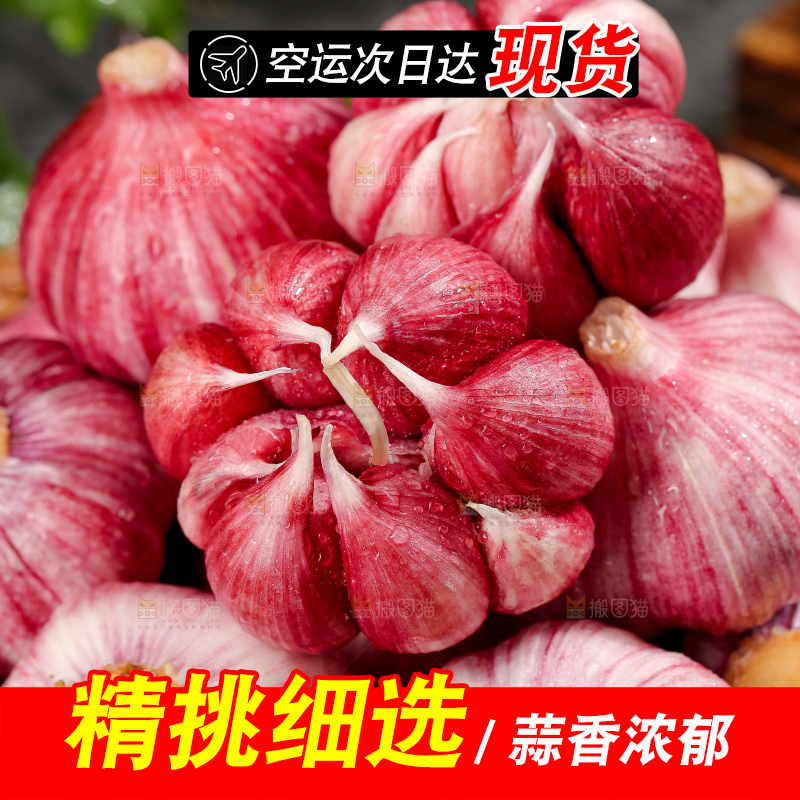 深底上的紫皮大蒜