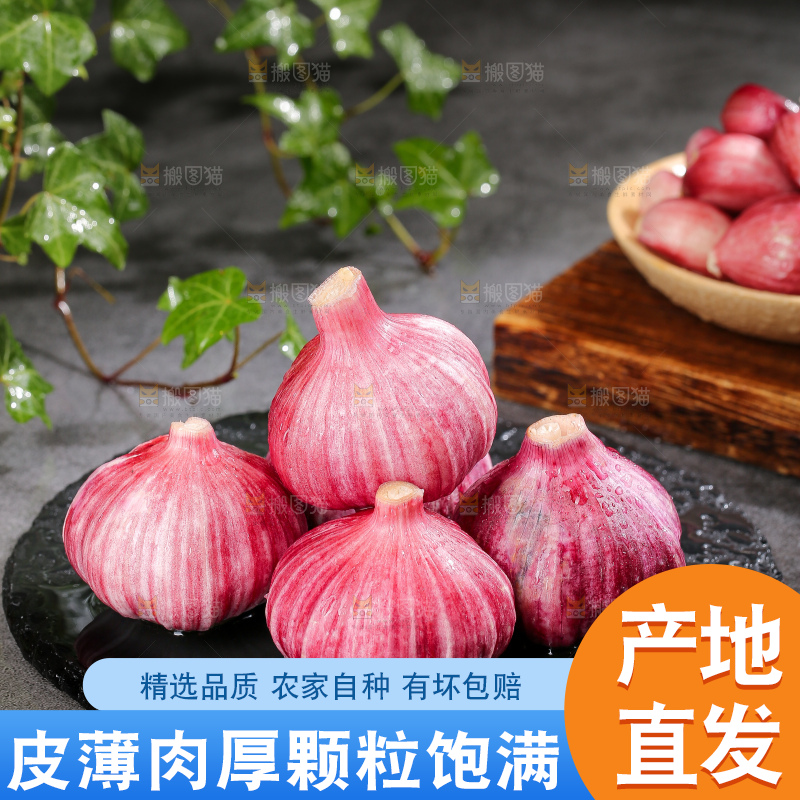 深底上的紫皮大蒜