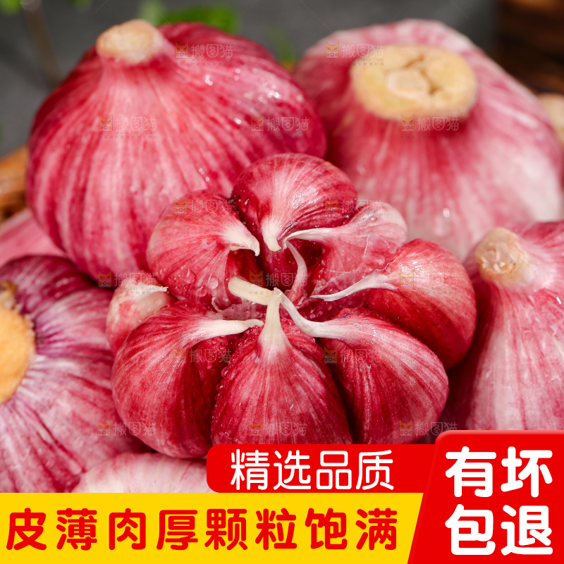 深底上的紫皮大蒜