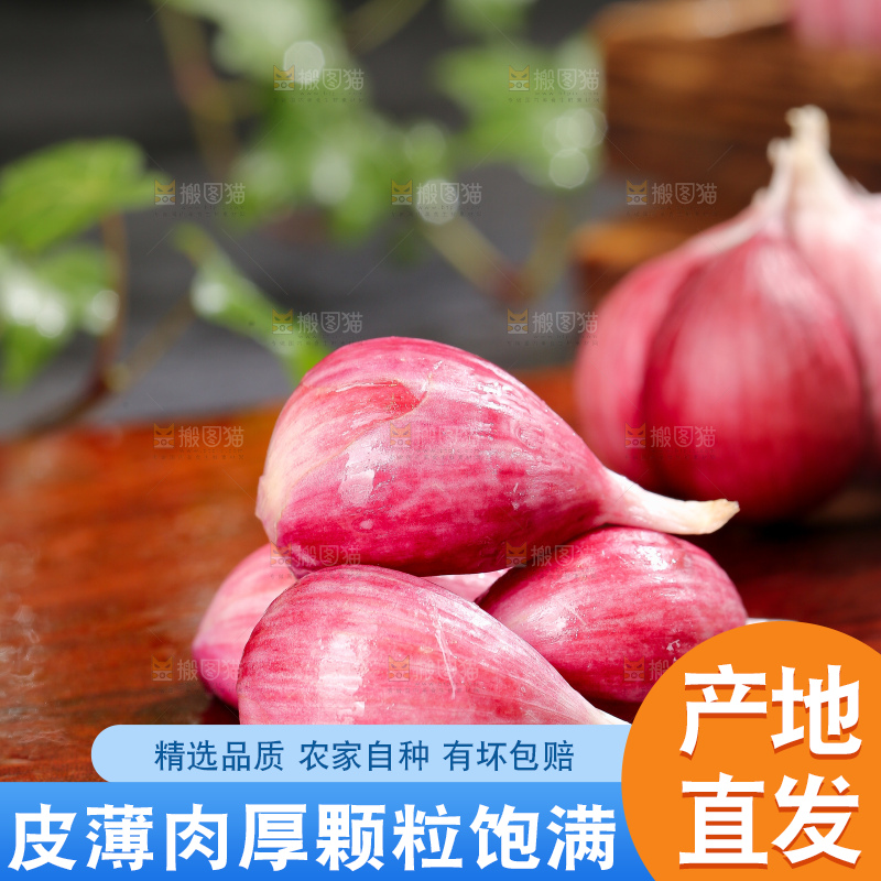 深底上的紫皮大蒜