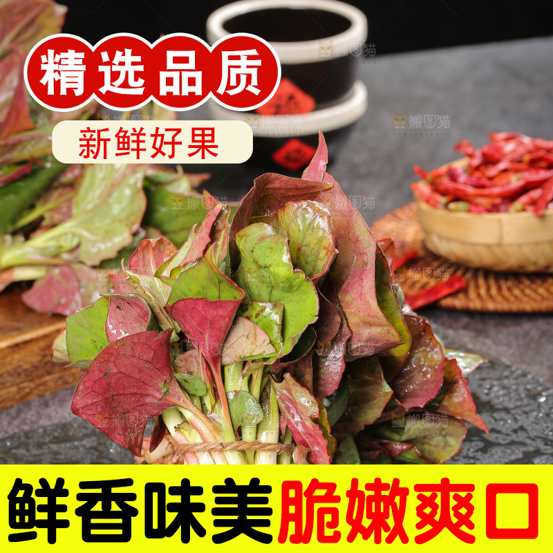深底上的鱼腥草叶