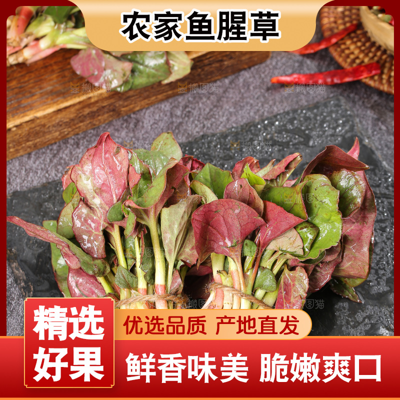 深底上的鱼腥草叶