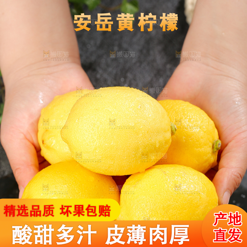 深底上的安岳黄柠檬