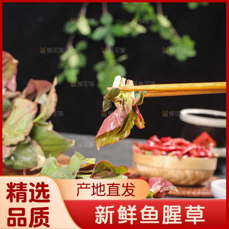 深底上的鱼腥草叶